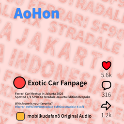 Aohon Reels